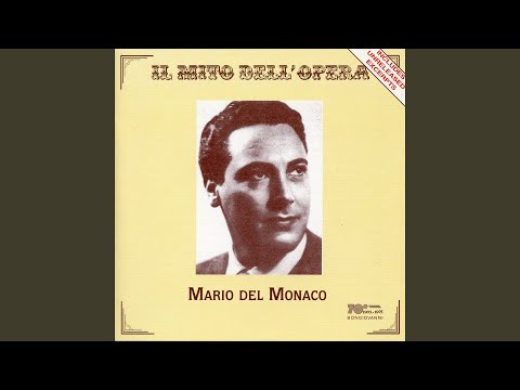 Otello: Act I: Esultate!