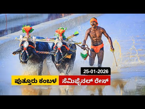 Puttur Kambala Semi  Final race 2026 | ಪುತ್ತೂರು ಕಂಬಳ  ಸೆಮಿಫೈನಲ್ ರೇಸ್
