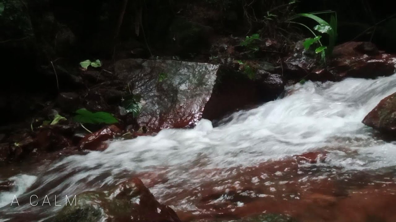 Nature Video - Water Stream & Birdsong Sounds - Sleep,Relaxing River Sounds - Peaceful Forest River