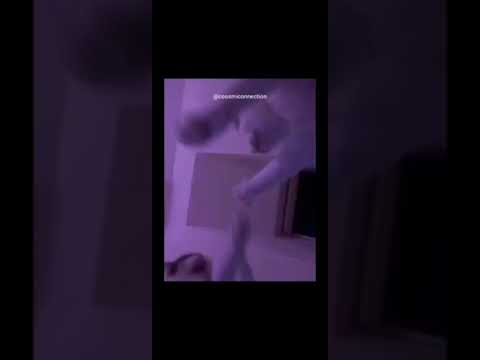 ROCKING CATS😂😂😂😂to get more video check my channel and support