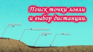 Какой фидер лучше выбрать для ловли сазана