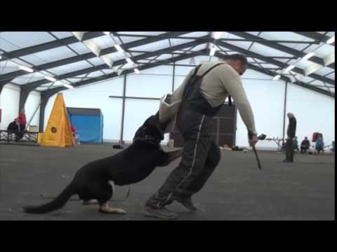 Bolle Janaka  protection