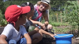 Food is Medicine: Affecting and Potentially Saving Lives through Nutrition