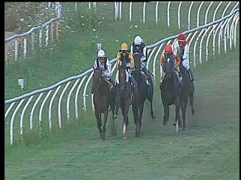 Galoppo 15/07/2017 - 2ª corsa