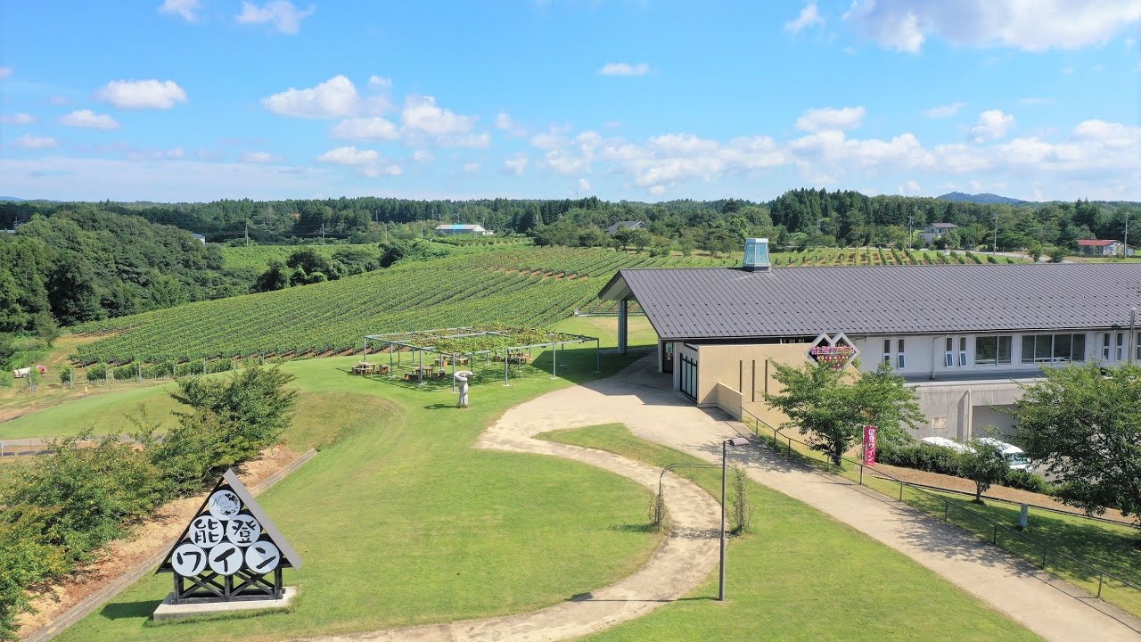 Live webcam view of Noto Wine Vineyard Live Cam