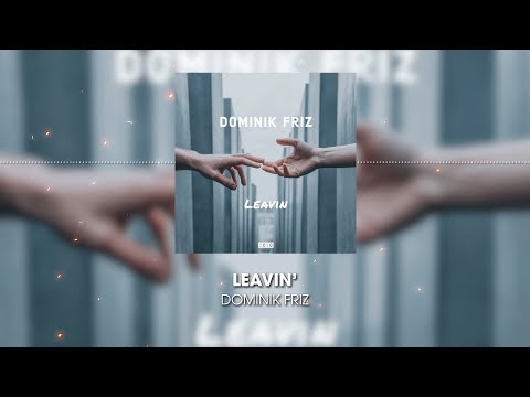 Dominik Friz - Leavin'