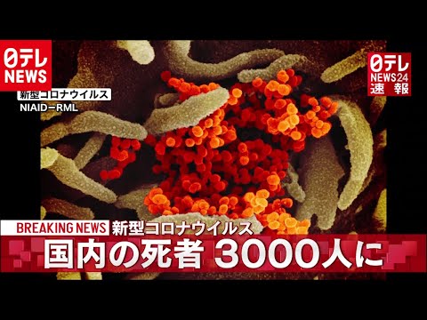コロナによる死亡者数:2020年12月に平均を上回る数が死亡