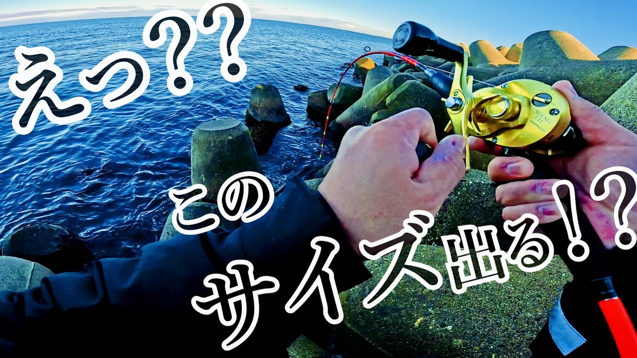 【穴釣り】真冬の海でまさかのサイズが来ました