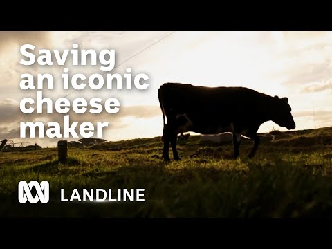 Two Aussie businessmen have saved Australia's most awarded cheese maker | Landline | ABC Australia