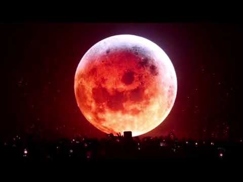 Retro Space Festival Lebanon - Stay Tuned