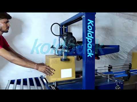 Lined Carton Packing Machine