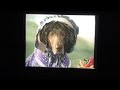 Sesame Street To Market William Wegman Nursery Rhymes 1999