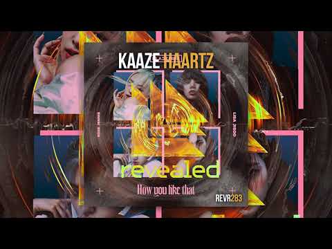 HOW YOU LIKE THAT HAARTZ | KAAZE vs. BLACKPINK  | Mikko Extended Mashup