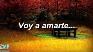 Voy A Amarte - Carlos Rivera - Letra - HD