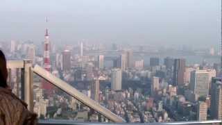preview picture of video 'Tokyo City View'