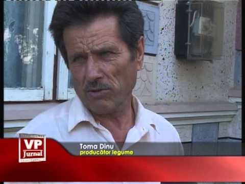 munca in zadar la balta doamnei