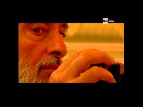 Quello che è vermi polmonari Danno o parassita di campo