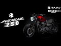 Finally, Bajaj Avenger 250X Bike launch Revealed | Modern Crusier | Features & Price | Launch Date ?