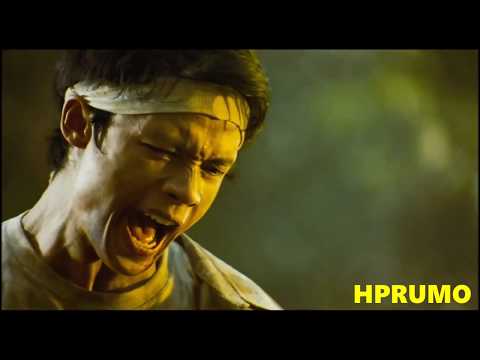 born to fight full movie download free born to fight full movie download free