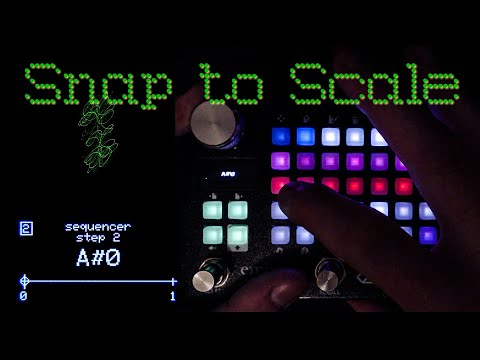 Zoia Tutorial: Sequencer Snap to Scale - Empress Effects Zoia