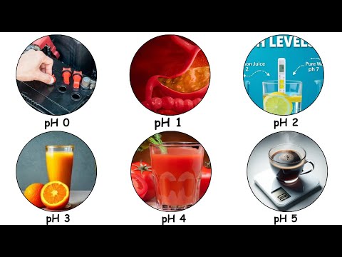 Every PH Level Explained in 10 Minutes