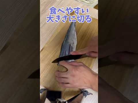 園芸 サワラニセヒノキ
