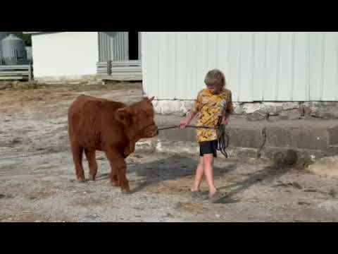 NC102 Sandy Creek's Nymphadora