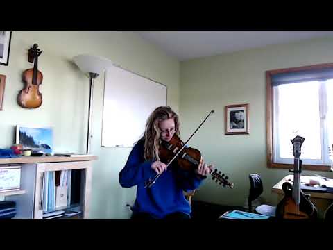 Dorthea's Waltz - hardingfele