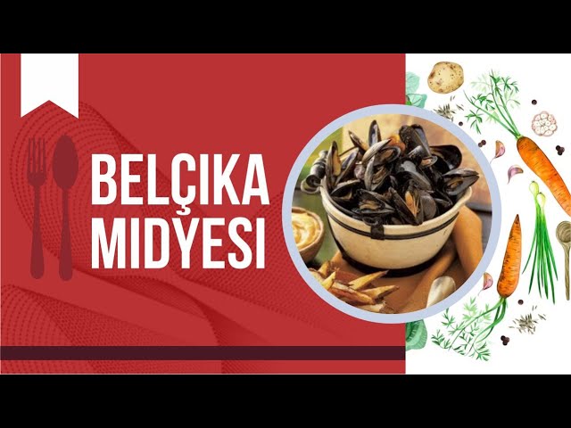 Belçika midyesi