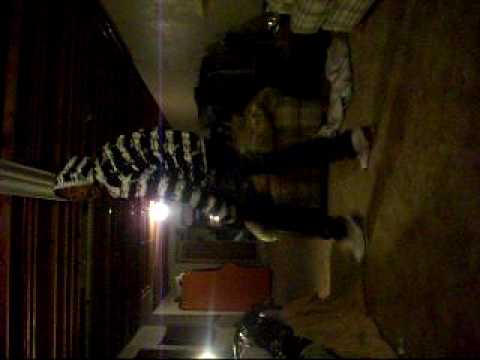 drake and  timberland  say something ..