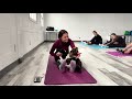 FULL 12 Minute Puppy Yoga Class ‍ ️ Stress Relief Puppy Cuddles With Adorable Spaniels