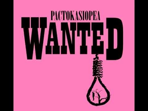 Wanted-Pactokasiopea