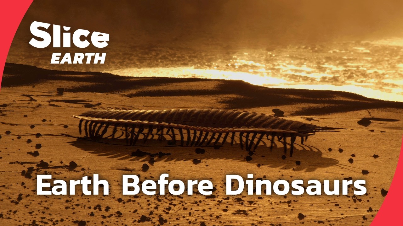 Prehistoric Mystery: What Killed the Giant Insects? | SLICE EARTH | FULL DOC