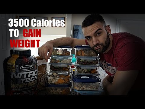 download lagu mp3 mp4 3500 Calorie Meal Plan, download lagu 3500 Calorie Meal Plan gratis, unduh video klip 3500 Calorie Meal Plan