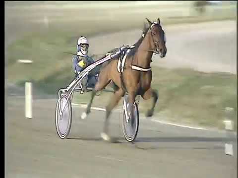 Trotto 22/12/2017 - 4ª corsa