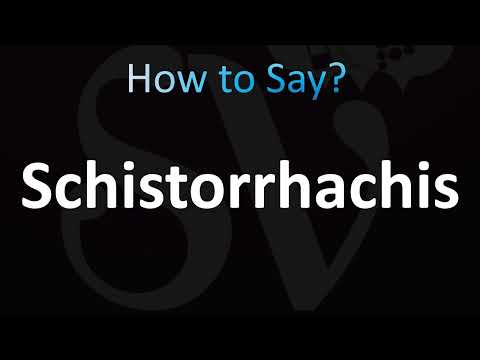 How to Pronounce Schistorrhachis (Correctly!)