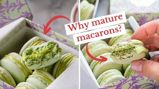 5 tips on maturing macarons + an EXCITING ANNOUNCEMENT!!