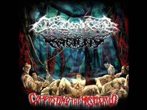 Colonize The Rotting - Putrid Distension