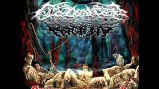 Colonize The Rotting - Putrid Distension