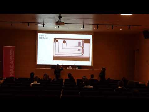 «El IVAM, un museo anfibio». Blanca de la Torre, Directora del IVAM.