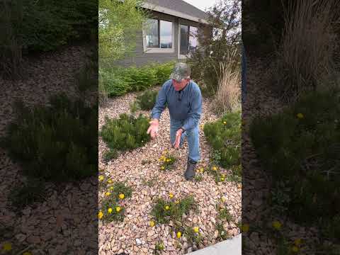 風景ファブリック |きちんとメンテナンスしてますか？