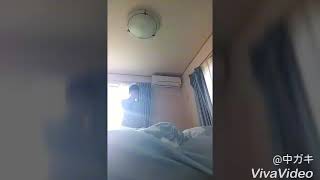 動画投稿開始します