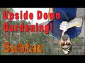 SHTF Gardening Techniques | Upside Down ...