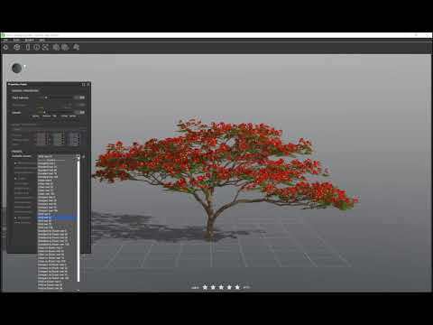 Watch the YouTube video of Royal poinciana