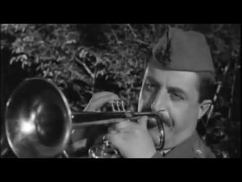 Nini Rosso ► Il Silenzio / 1965