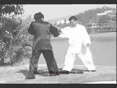 Monkey climbing tree.