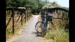 preview picture of video 'The Shapwick Nature Reserve Cycle,' 'Brunel like Bridge to Godney', Part IV, July 2013'