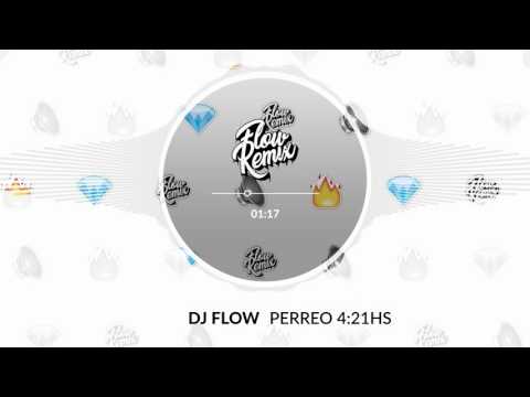 DJ Flow - Perreo 4:21 Hs (Flowremix 2017)