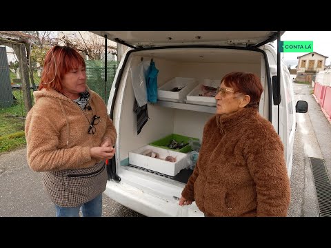 Celeste Rodrigues brings fresh fish to isolated communities in Valença.