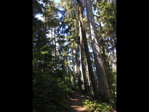 Owyhigh Lakes -Mount Rainier